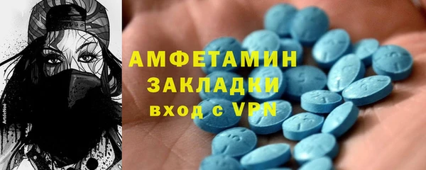 ГАЛЛЮЦИНОГЕННЫЕ ГРИБЫ Богданович