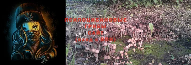 Галлюциногенные грибы Magic Shrooms Каргополь